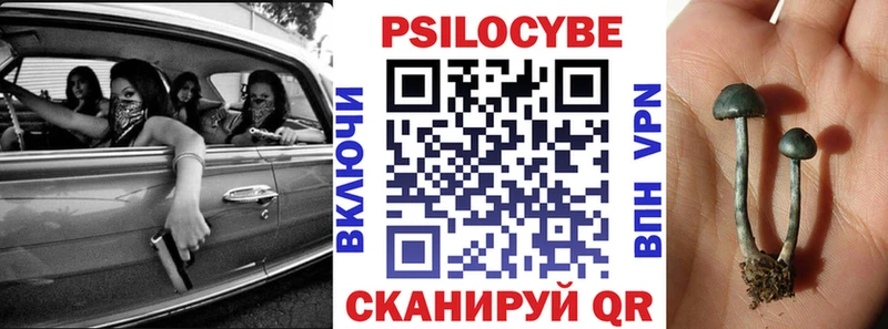 Купить закладки  Тихвин  Псилоцибиновые грибы Psilocybe 