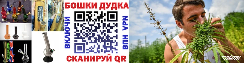 Купить  Тихвин  Каннабис сатива 